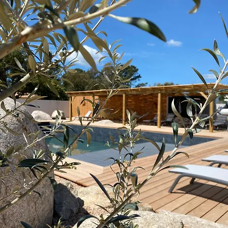 Maison Neuve Vecchio *